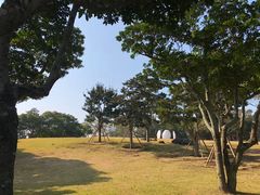 -Dombe豚(黑猪肉街店)