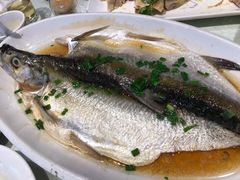 野生白鱼-壹只菜·崇明本地特色菜(崇明南门店)