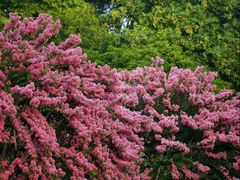 -杭州城北体育公园