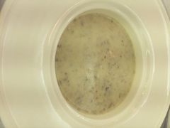 成桂西餐厅(河北路店)-成桂西餐厅·42年的味道(五大道疙瘩楼店)