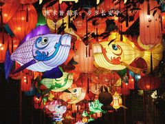 -老门东历史文化街区