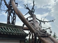 -玉泉观