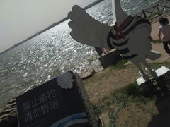 -丁香湖公园