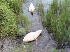 -仙店农庄(湖景农庄餐厅)