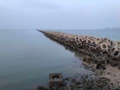 -东疆建设开发纪念公园