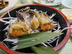 -渔娘渔家丹东海鲜(东直门店)