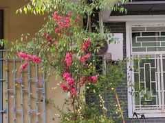 -东仓门早市