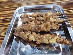 -民族烤羊·烤羊肉串·烤羊排(南城店)