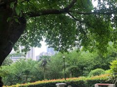 -龙头寺公园