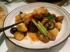 马蹄冬菇焖五花肉-清晖小苑•顺德地方菜(壹海城店)