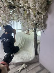 -贯日漂亮宝贝儿童摄影