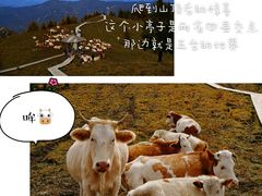 -驼梁风景区