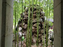 -秋霞圃