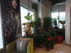 DSC00485_副本-美秀造型