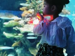 -多彩贵州城极地海洋世界