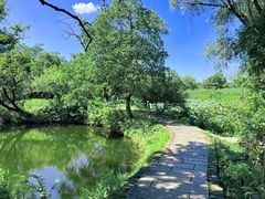 -西溪国家湿地公园