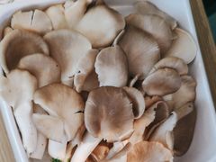 -潮牛壹号鲜牛肉火锅(世界城广场店)