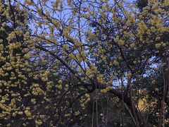 -孙武文化园-停车场