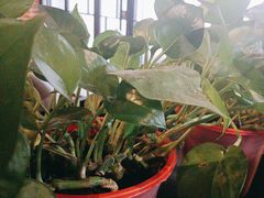 -本寻烧肉酒场(双井店)