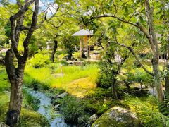 -天龙寺