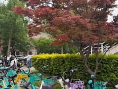-清华大学-观畴园餐厅