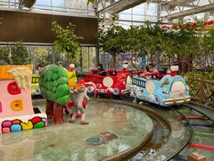 -南宫五洲植物乐园