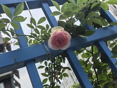 -南京邮电大学(仙林校区)