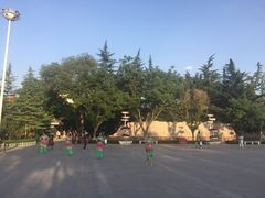 -金城公园