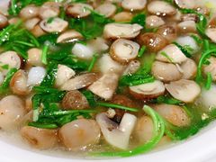 荠菜虾仁双菇-和记小菜(大宁店)