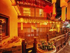 -叶叶菩提(太原别墅店)