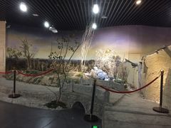 -新四军黄桥战役纪念馆(新馆)
