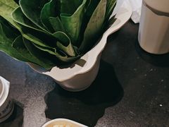 -南门四季铜锅涮肉(大屯·北苑店)