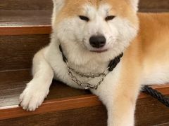 -YCHL Studios健身工作室(市二宫店)