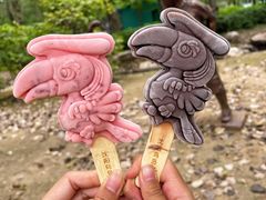 -沈阳鸟岛