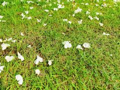 -大龙山(地铁站)