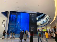 -迪拜水族馆及水下动物园