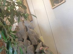 -山海经·海边人家 海鲜新青岛菜(扬州路店)