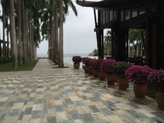 亚龙湾红树林度假酒店-三亚亚龙湾红树林度假酒店