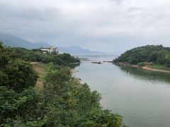 -福建鲤鱼洲酒店