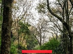 -岳麓山风景名胜区