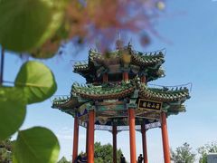 -北京西山国家森林公园