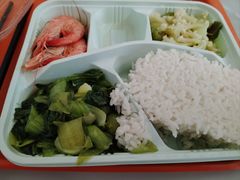 -上海市东方医院(总院)