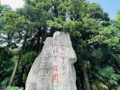 -大围山国家森林公园