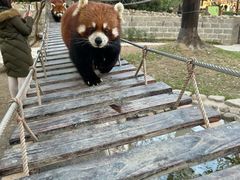 -野生动物园-停车场