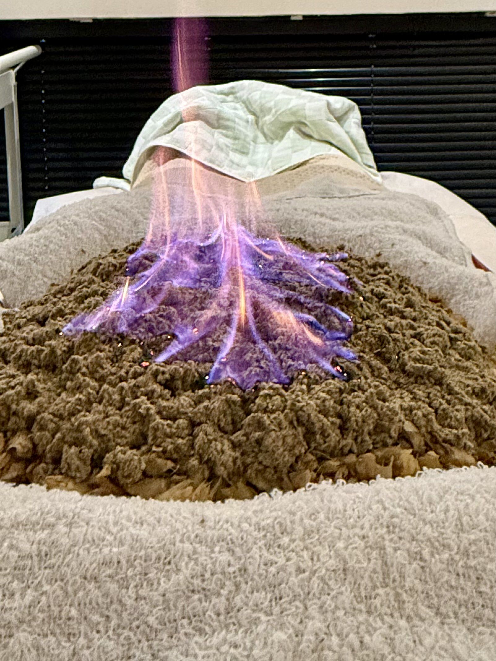 大连你别太超前!还能这么养生?