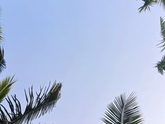 -深圳湾公园(南山区)