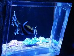 -皇家极地海洋世界-售票处