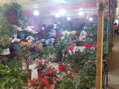 -金陵花卉交易市场