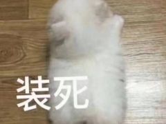 -嘉喜来比萨(罗马花园店)
