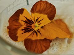 -The Lobby Lounge大堂吧(环球影城诺金度假酒店)